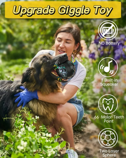 Pat and Pet Emporium | Pet Chew Toys  | Dog Treat Ball