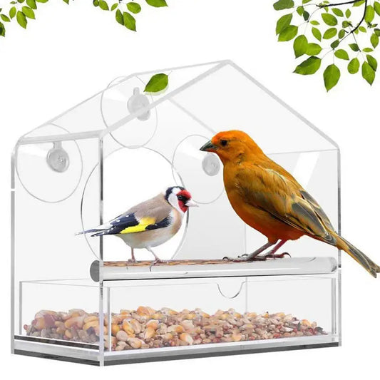 Pat and Pet Emporium | Pet Feeders, Waterers | Bird Feeder | Clear Window Feeder
