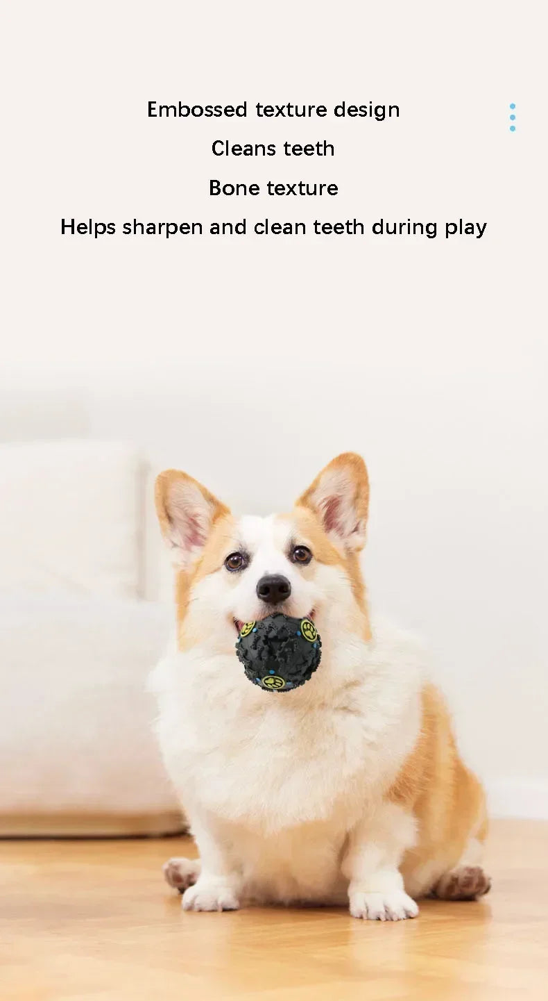 Pat and Pet Emporium | Pet Chew Toys  | Dog Treat Ball