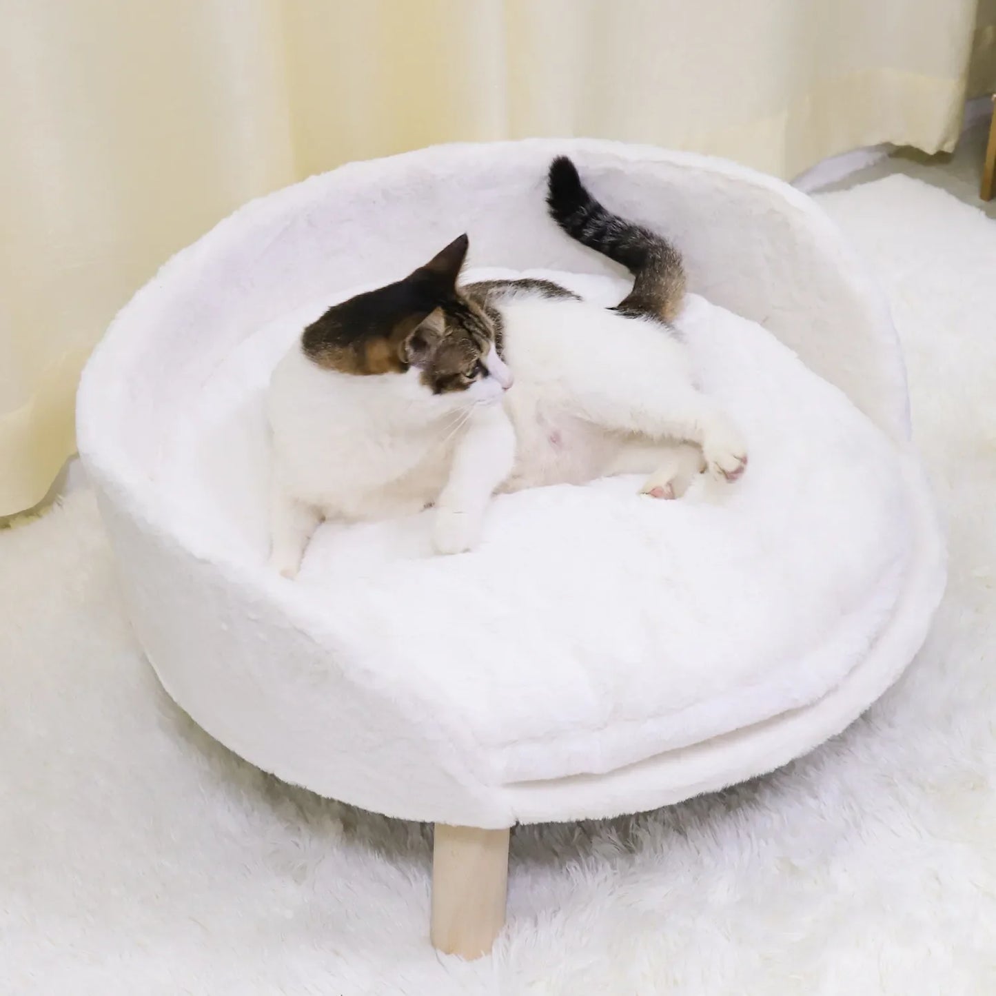 Pat and Pet Emporium | Pet Beds | Plush Small Pet Raised Chair