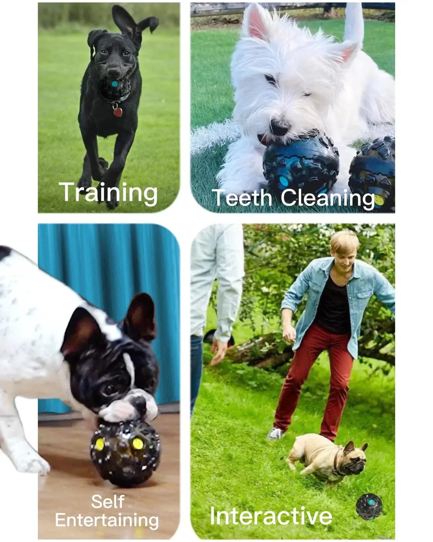 Pat and Pet Emporium | Pet Chew Toys  | Dog Treat Ball