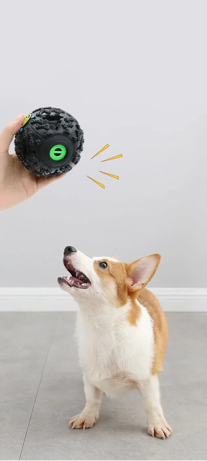 Pat and Pet Emporium | Pet Chew Toys  | Dog Treat Ball