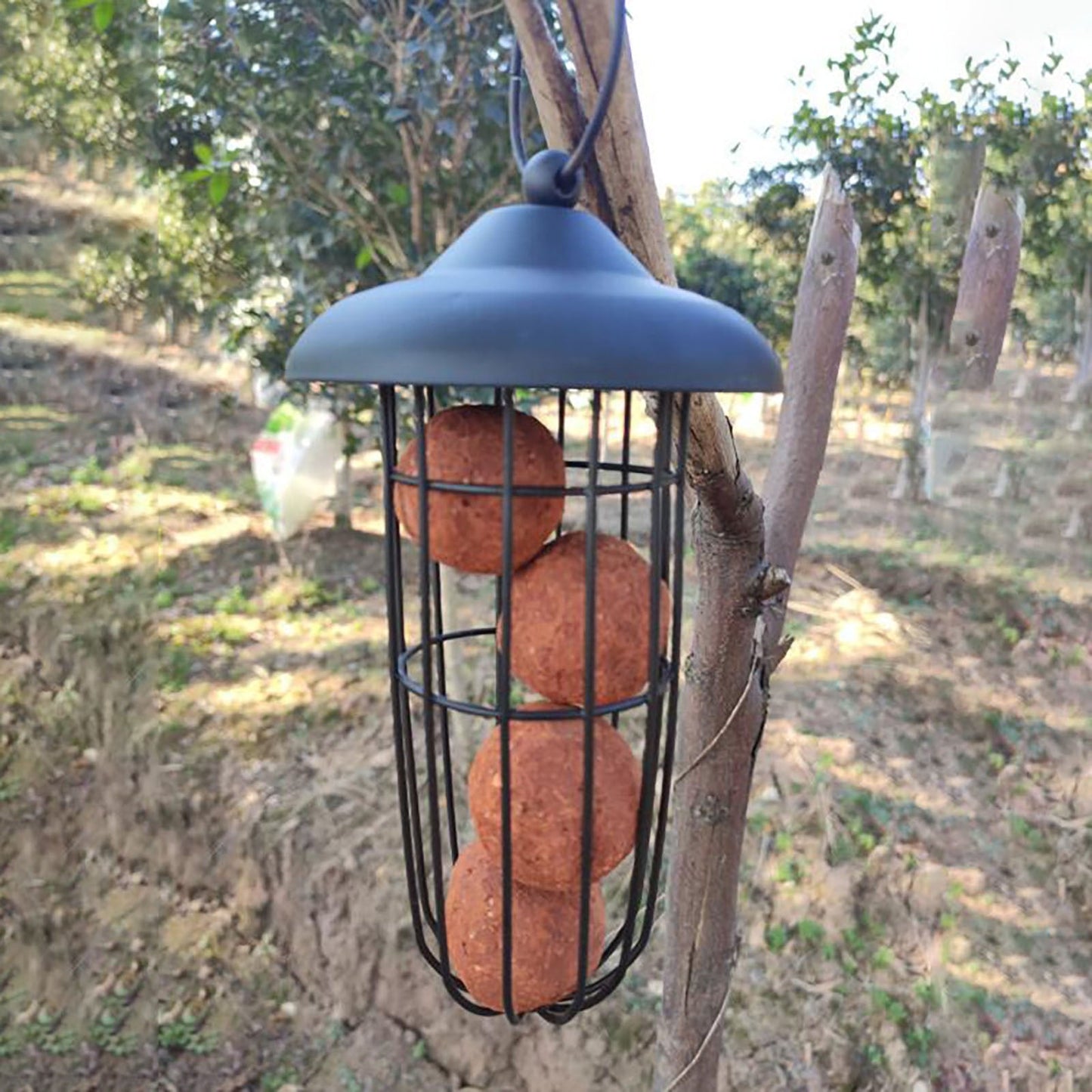 Pat and Pet Emporium | Pet Feeders | Hanging Bird Seed Feeder