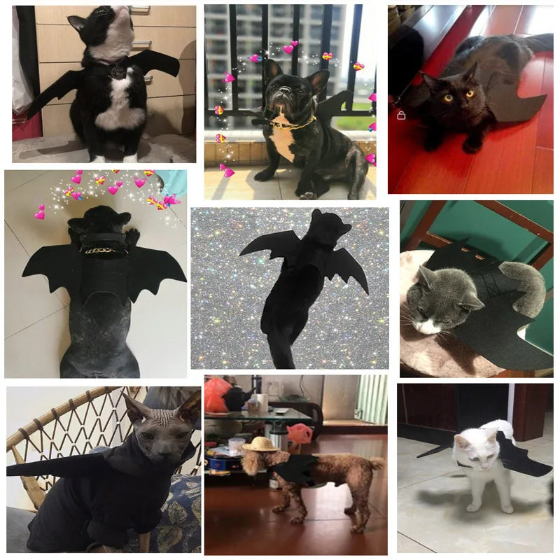 Pat and Pet Emporium | Pet Costumes | Halloween Clothing