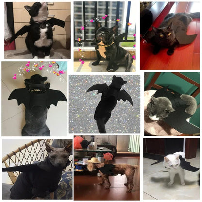 Pat and Pet Emporium | Pet Costumes | Halloween Clothing