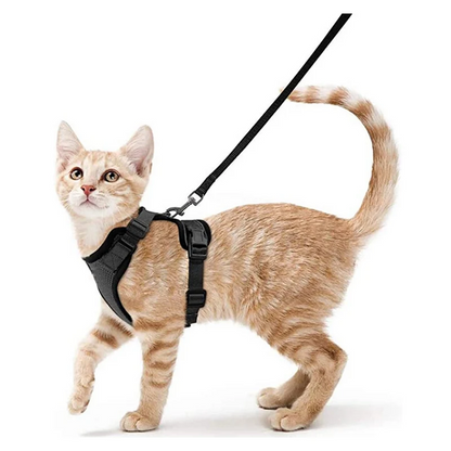 Pat and Pet Emporium | Pet Harnesses | Cat Walk Lead Harness