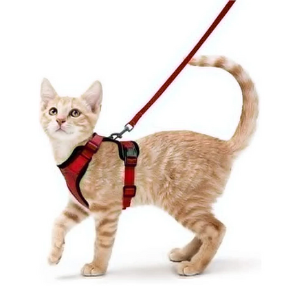 Pat and Pet Emporium | Pet Harnesses | Cat Walk Lead Harness