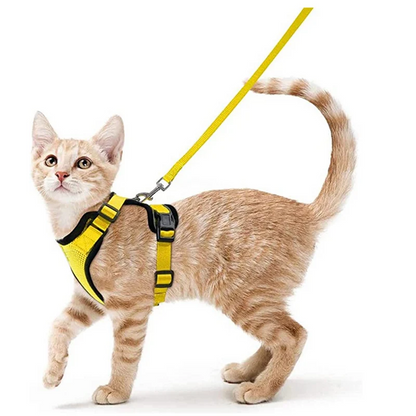 Pat and Pet Emporium | Pet Harnesses | Cat Walk Lead Harness