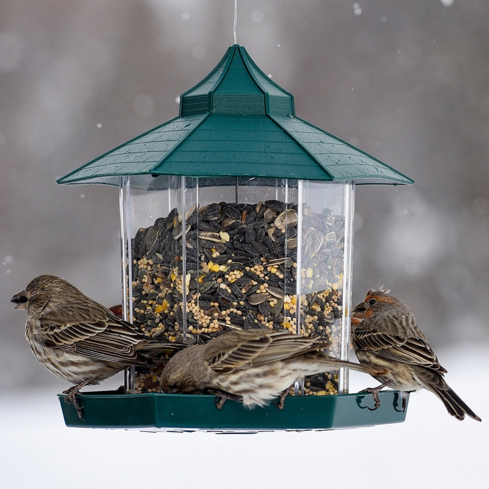 Pat and Pet Emporium | Pet Feeders | Hanging Wild Bird Feeder