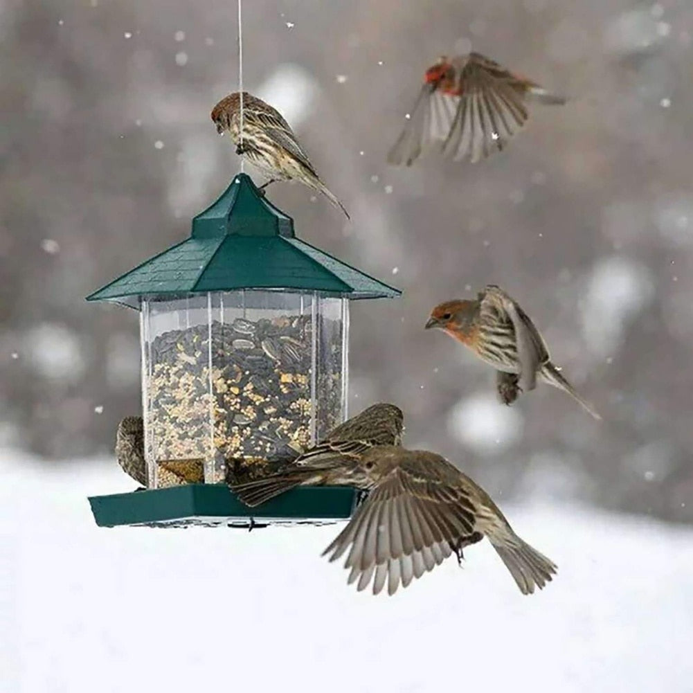 Pat and Pet Emporium | Pet Feeders | Hanging Wild Bird Feeder