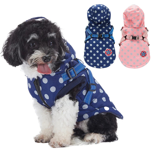 Pat and Pet Emporium | Pet Clothing | Pet Waterproof Hooded Rain Coat