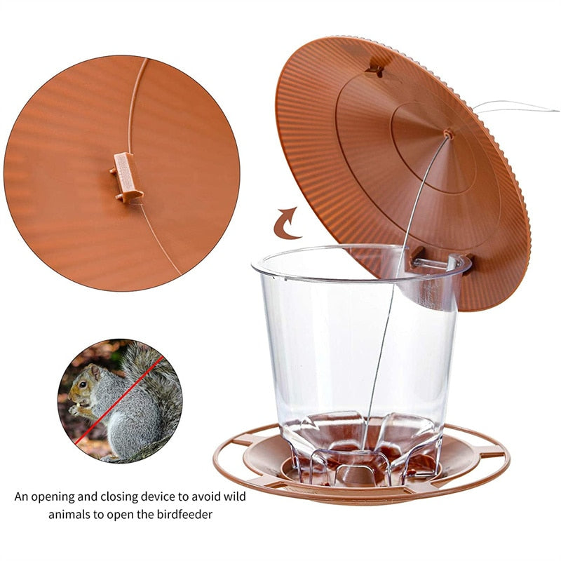Pat and Pet Emporium | Pet Feeders | Squirrel Proof Feeder