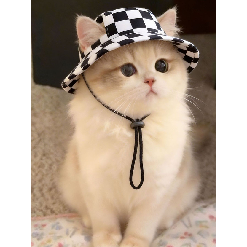 Pat and Pet Emporium | Pet Hats | Adjustable Pet Bucket Hat