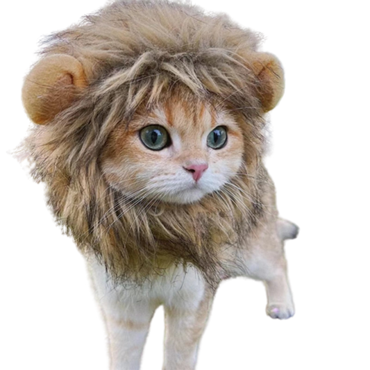 Pat and Pet Emporium | Pet Costumes | Lion Mane Cat Costume