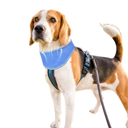 Pat and Pet Emporium | Pet Collars | Instant Cooling Dog Collar Towel