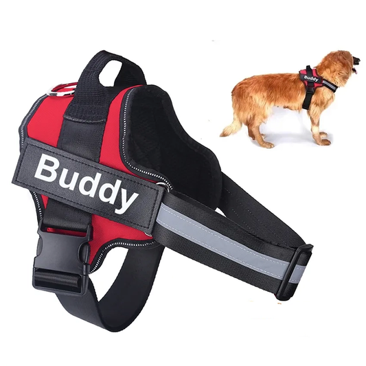 Pat and Pet Emporium | Pet Harnesses | Personalized Dog Harness NO PULL