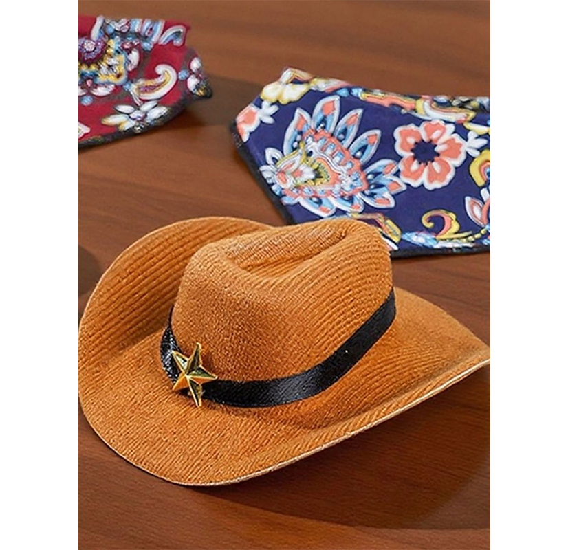 Pat and Pet Emporium | Pet Hats | Paisley Print Pet Scarf & Hat