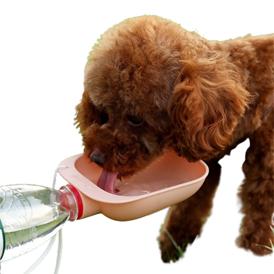 Pat and Pet Emporium | Pet Feeders, Waterers | Outdoor Pet Water Bowl