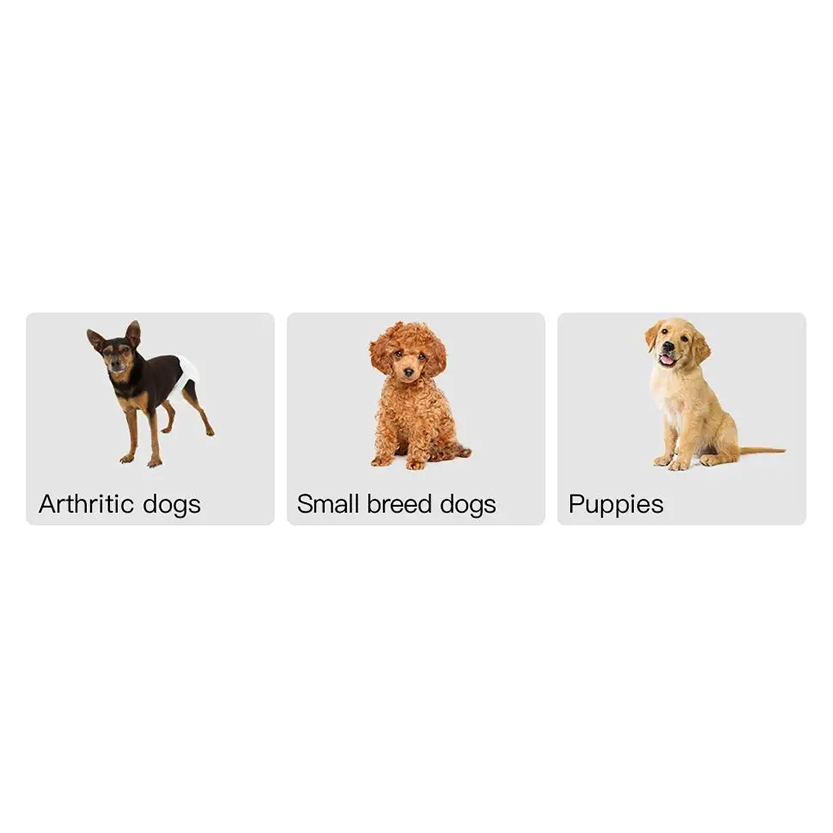 Pat and Pet Emporium | Pet Home Products | Portable Dog Step