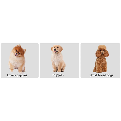 Pat and Pet Emporium | Pet Home Products | Portable Dog Step