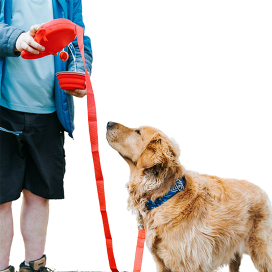 Pat and Pet Emporium | Pet Leashes | Multifunctional Pet Leash