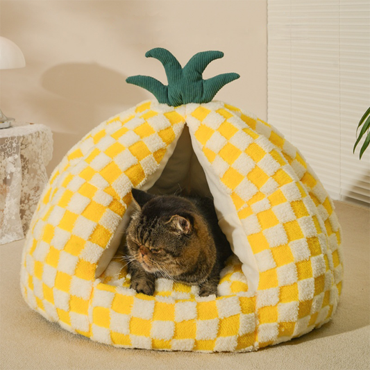 Pat and Pet Emporium | Pet Beds | Pineapple Shaped Pet Nest