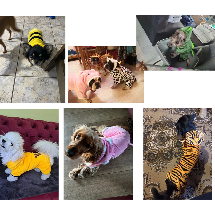 Pat and Pet Emporium | Pet Costumes | Cute Cat Dog Costumes
