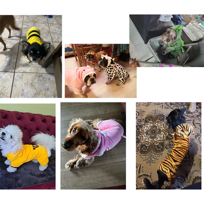 Pat and Pet Emporium | Pet Costumes | Cute Cat Dog Costumes