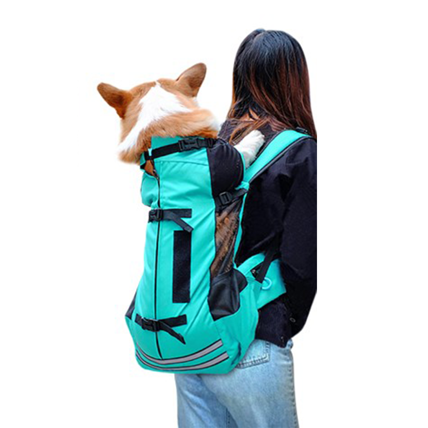 Pat and Pet Emporium | Pet Carriers | Dog Carrier Backpack