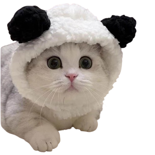 Pat and Pet Emporium | Pet Costumes | Cute Fleece Bear Cat Costume