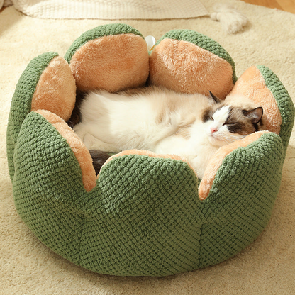 Pat and Pet Emporium | Pet Beds | Warm Cactus Petal Pet Nest