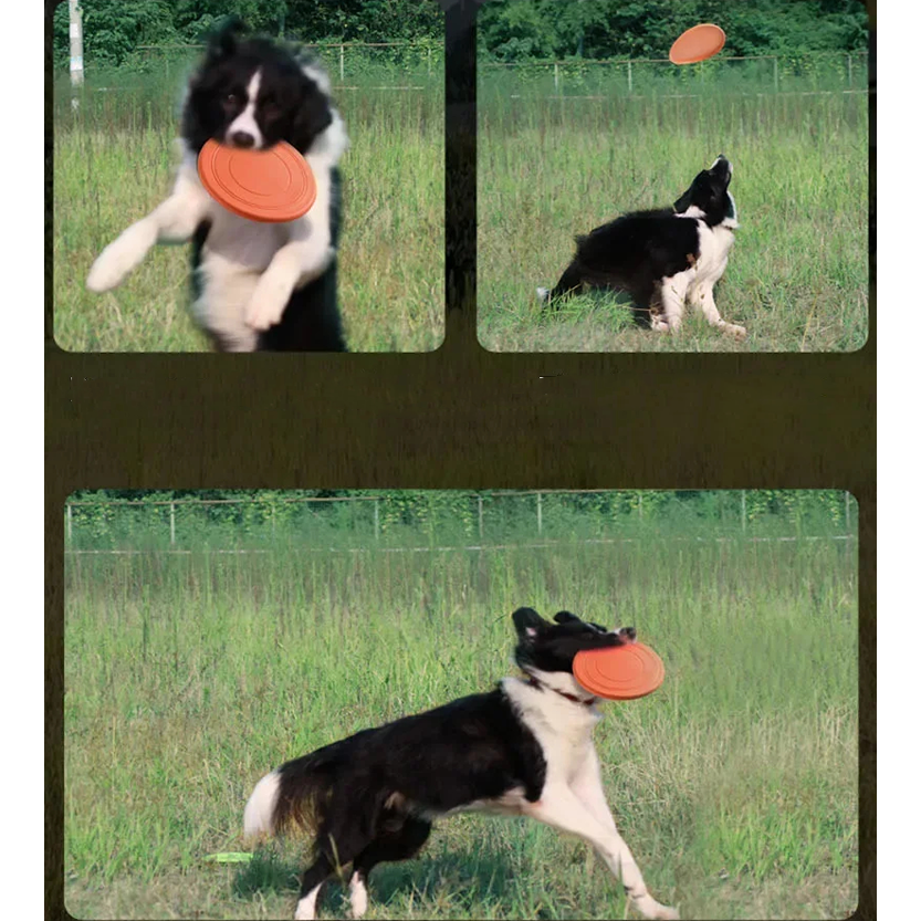 Pat and Pet Emporium | Pet Toys | Rubber Flying Disc Toy 2 Pcs