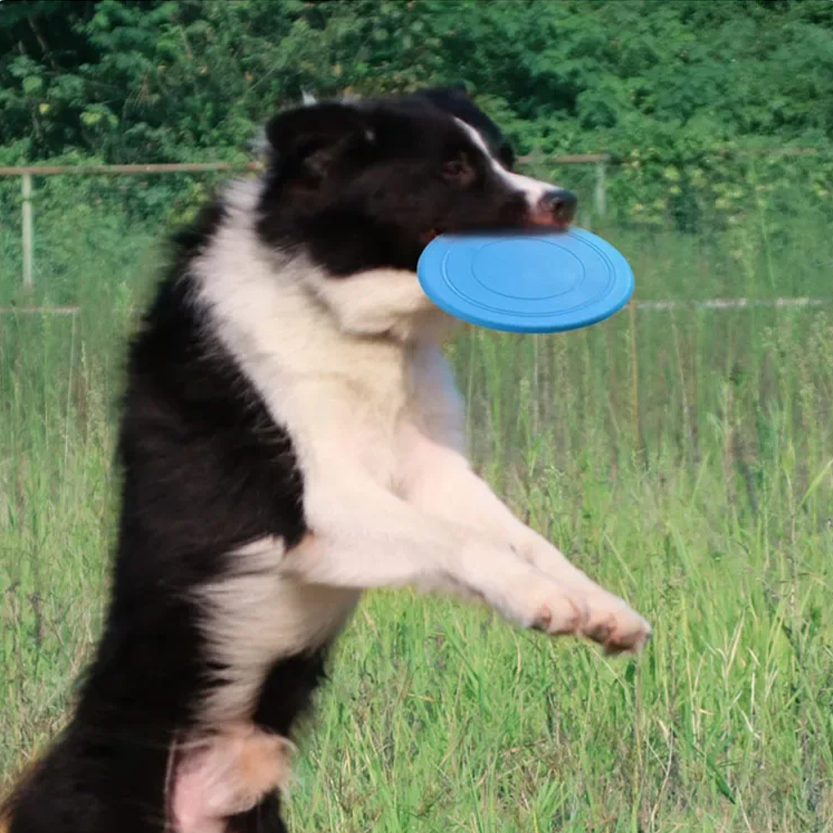 Pat and Pet Emporium | Pet Toys | Rubber Flying Disc Toy 2 Pcs