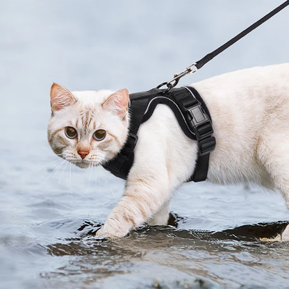 Pat and Pet Emporium | Pet Harnesses | Cat Walk Lead Harness