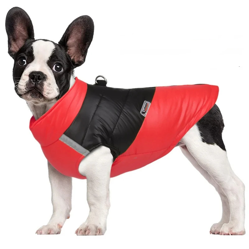 Pat and Pet Emporium | Pet Clothing | Waterproof Bright Dog Jackets