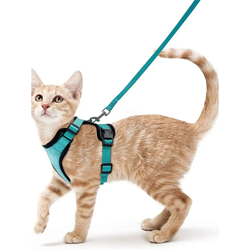 Pat and Pet Emporium | Pet Harnesses | Cat Walk Lead Harness