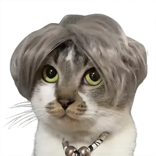 Pat and Pet Emporium | Pet Costumes | Cat Dog Cosplay Wig Hair Piece