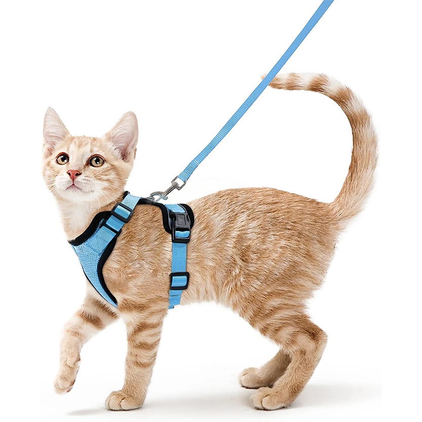 Pat and Pet Emporium | Pet Harnesses | Cat Walk Lead Harness