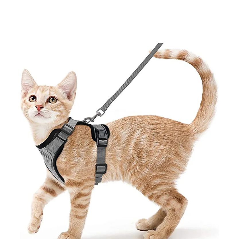 Pat and Pet Emporium | Pet Harnesses | Cat Walk Lead Harness