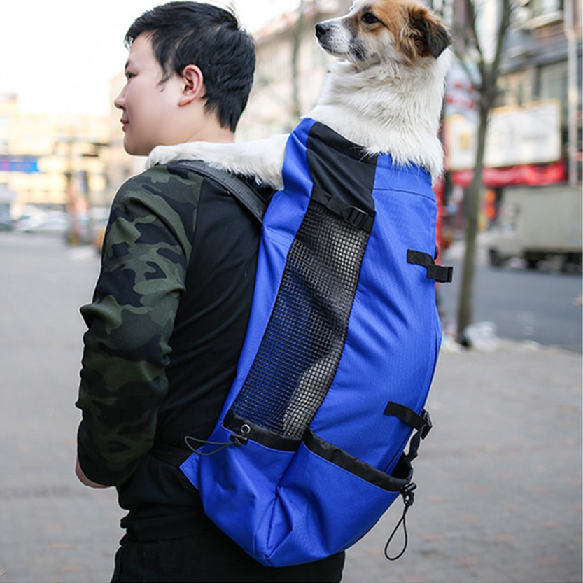 Pat and Pet Emporium | Pet Carriers | Outdoor Pet Backpacks