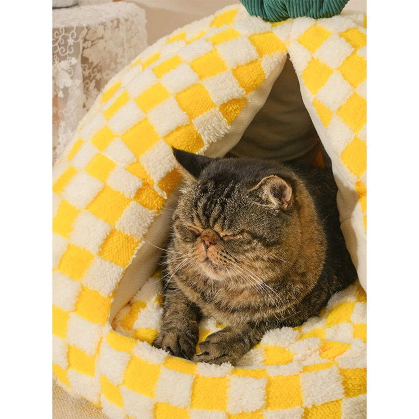 Pat and Pet Emporium | Pet Beds | Pineapple Shaped Pet Nest
