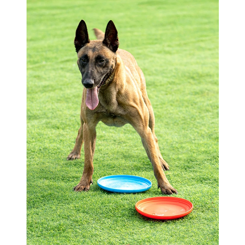 Pat and Pet Emporium | Pet Toys | Flying Throw n Fetch Disc Toy