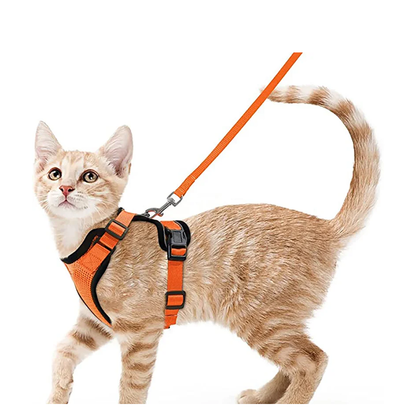 Pat and Pet Emporium | Pet Harnesses | Cat Walk Lead Harness