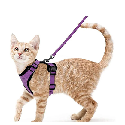 Pat and Pet Emporium | Pet Harnesses | Cat Walk Lead Harness