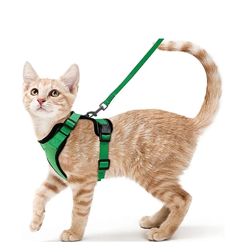 Pat and Pet Emporium | Pet Harnesses | Cat Walk Lead Harness