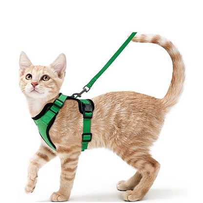 Pat and Pet Emporium | Pet Harnesses | Cat Walk Lead Harness