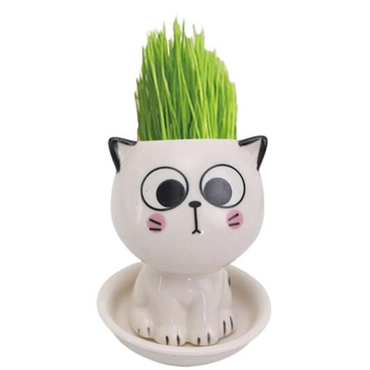 Pat and Pet Emporium | Home Products | Mini Cat Ceramic Flowerpot