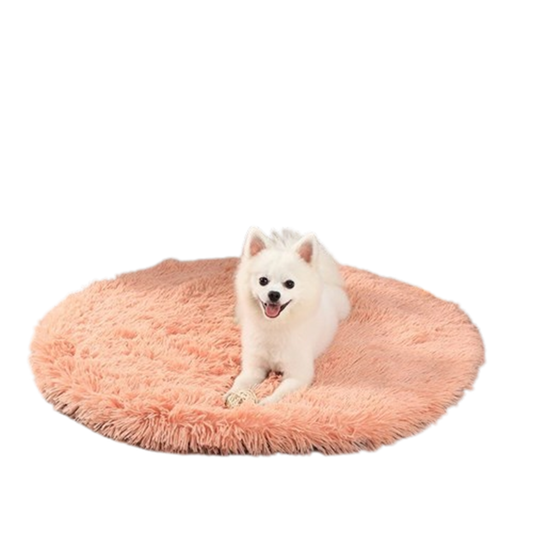 Pat and Pet Emporium | Pet Beds | Round Dog Bed