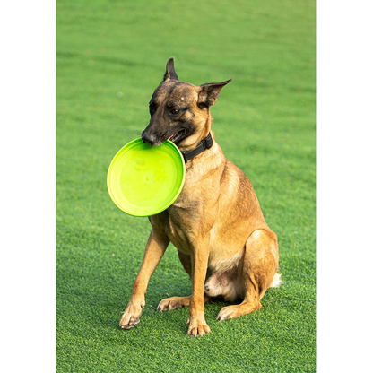 Pat and Pet Emporium | Pet Toys | Flying Throw n Fetch Disc Toy