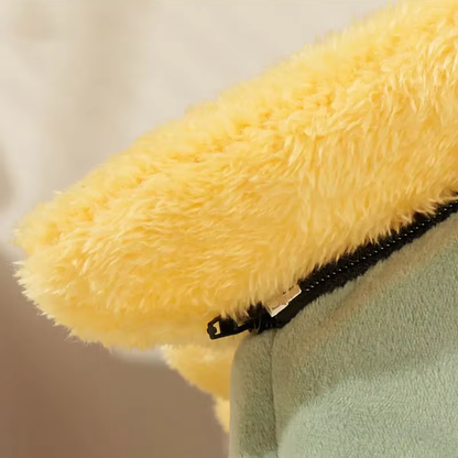 Pat and Pet Emporium | Pet Beds | Cute Foldable Pet House